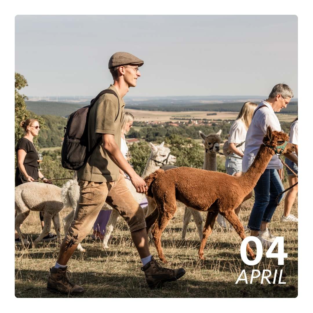 Sa. 04.04.26 - ALPAKA