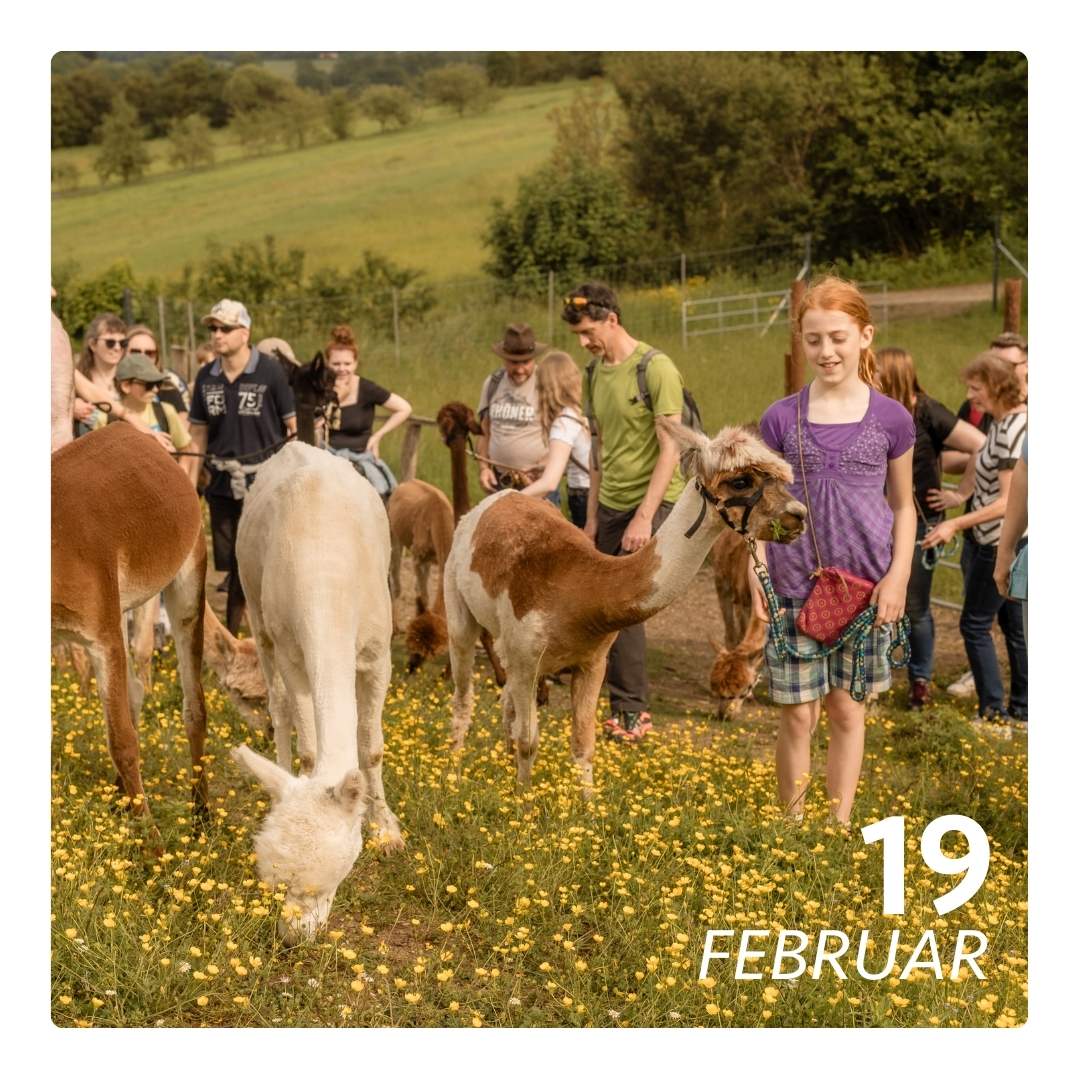 Do. 19.02.26 - ALPAKA FERIENFLAUSCH