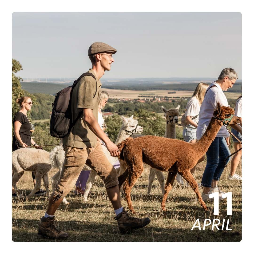 Sa. 11.04.26 - ALPAKA