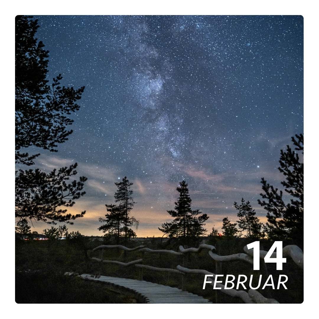 Sa, 14.02.2026 - STERN