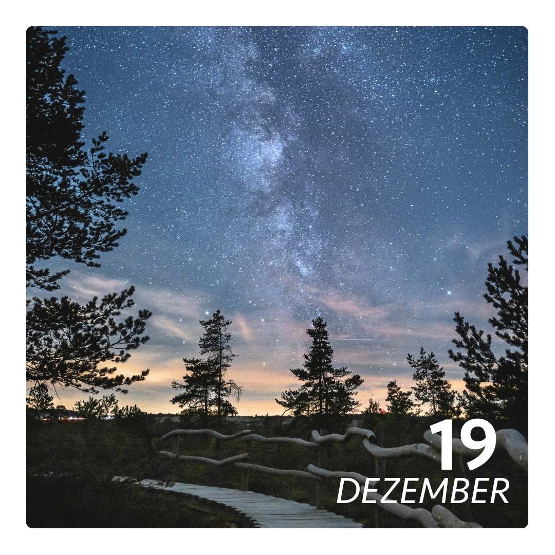 Fr, 19.12.2025 - STERN