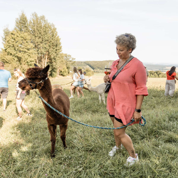 Gutschein Alpaka Wein Tour