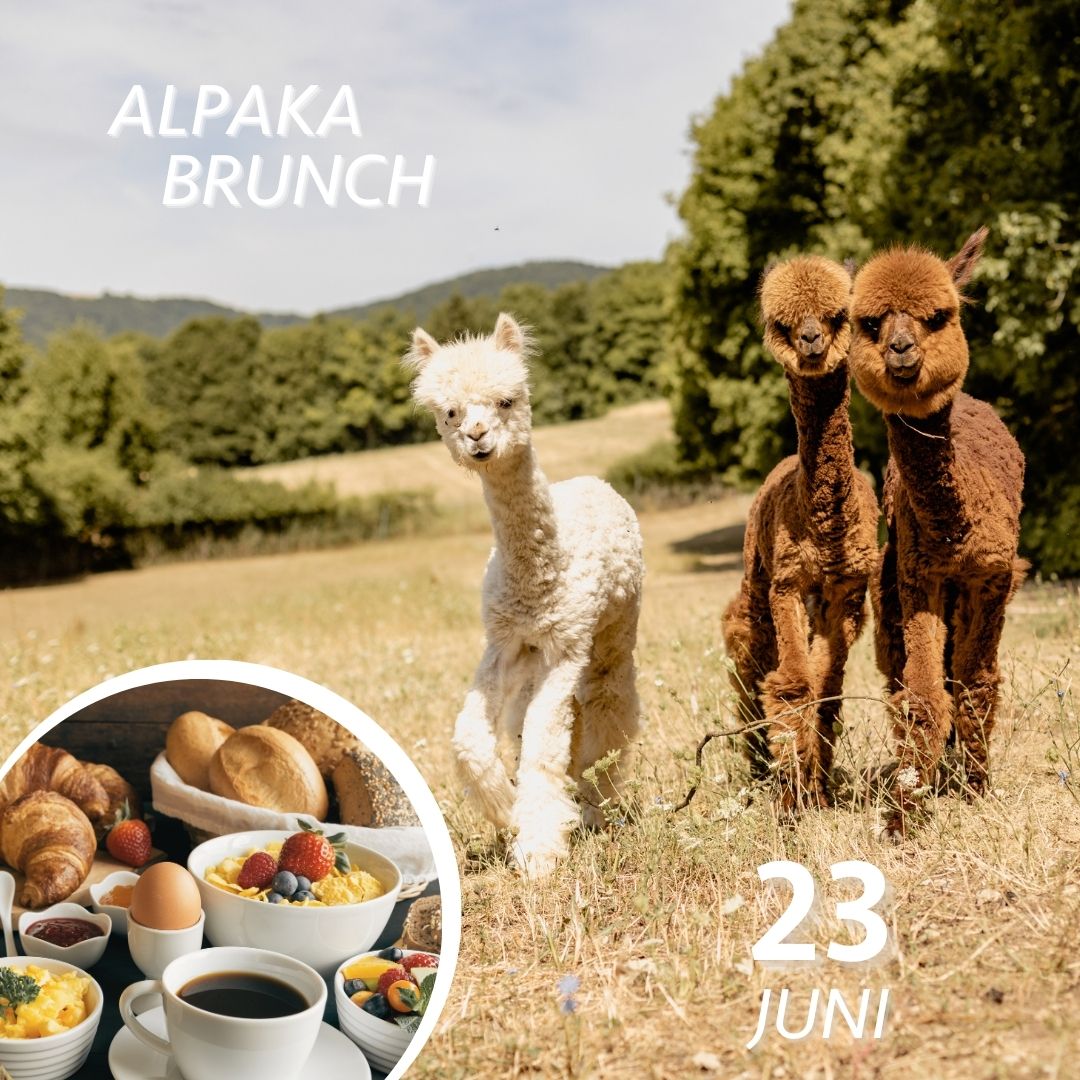 So. 23.06.24 BRUNCH