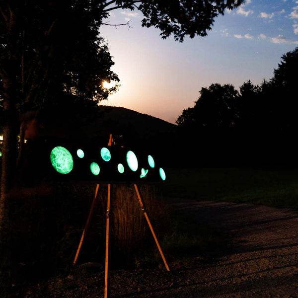 Alpakas, Wein & Sternschnuppen