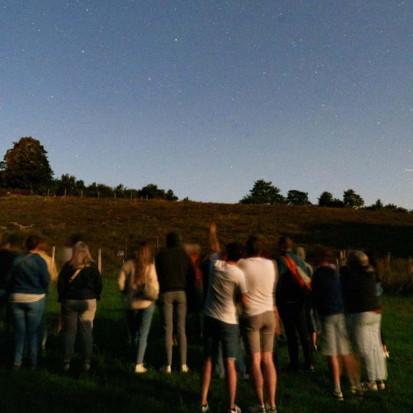 Alpakas, Wein & Sternschnuppen