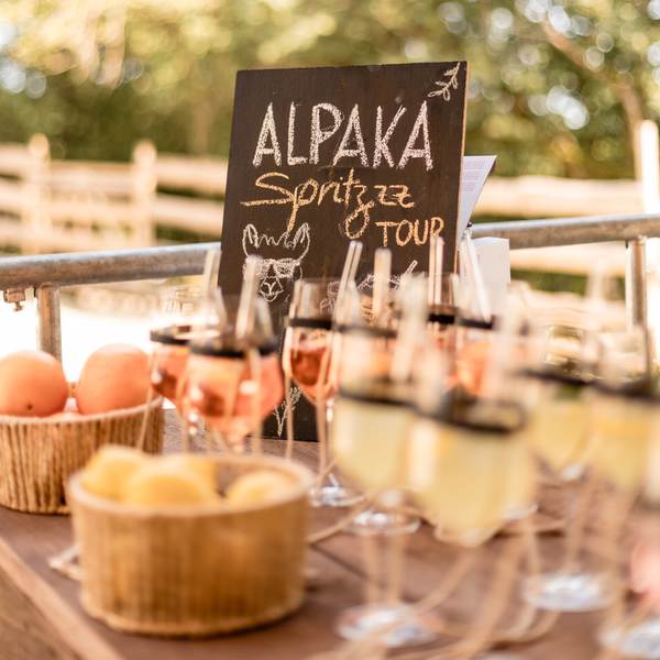 Alpaka Spritz Tour