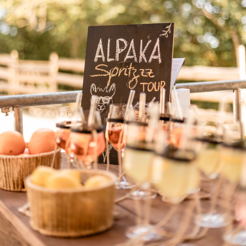 Alpaka Spritz Tour