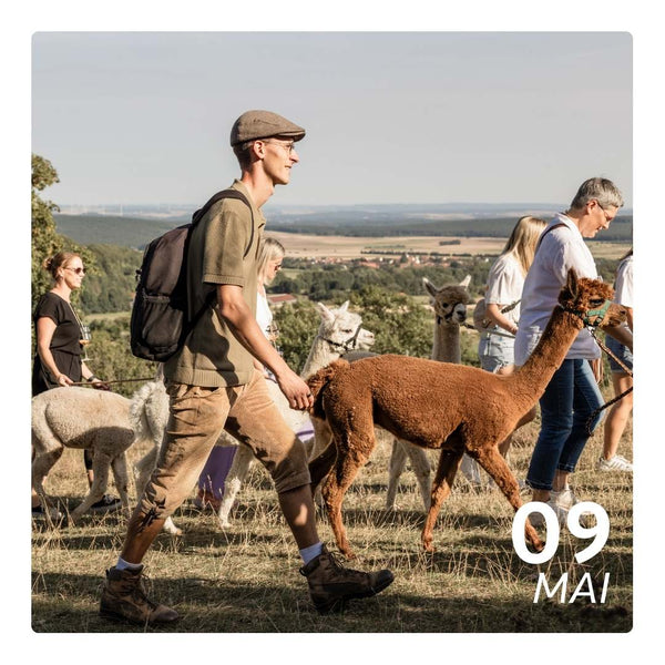Sa. 09.05.26 - ALPAKA