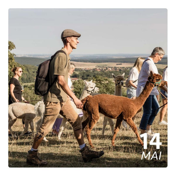Do. 14.05.26 - ALPAKA