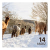 Sa. 14.03.26 - ALPAKA WINTERFLAUSCH