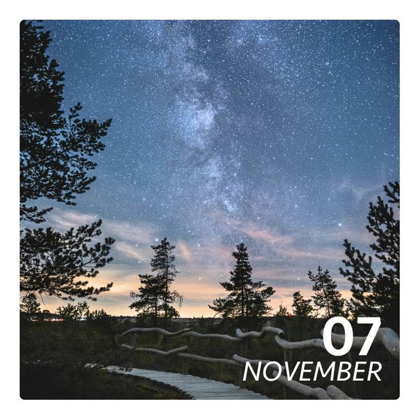 Sa, 07.11.2026 - STERN
