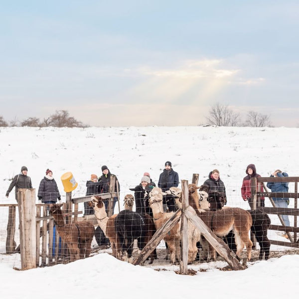 Sa. 19.12.2026 - WINTERGLÜHEN