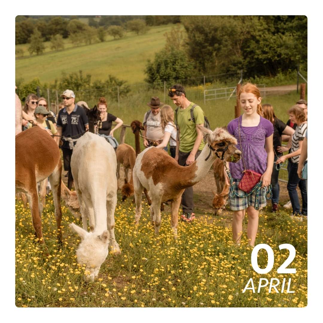 Do. 02.04.26 - ALPAKA FERIENFLAUSCH