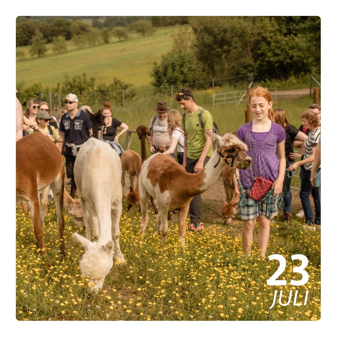 Do. 23.07.26 - ALPAKA FERIENFLAUSCH