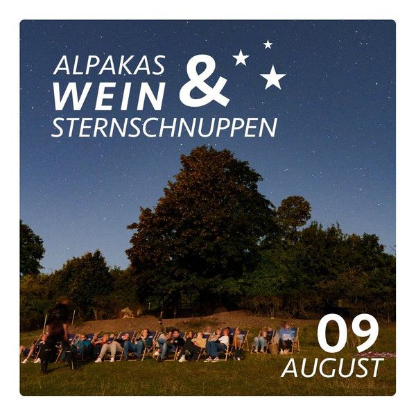 So, 09.08.2026