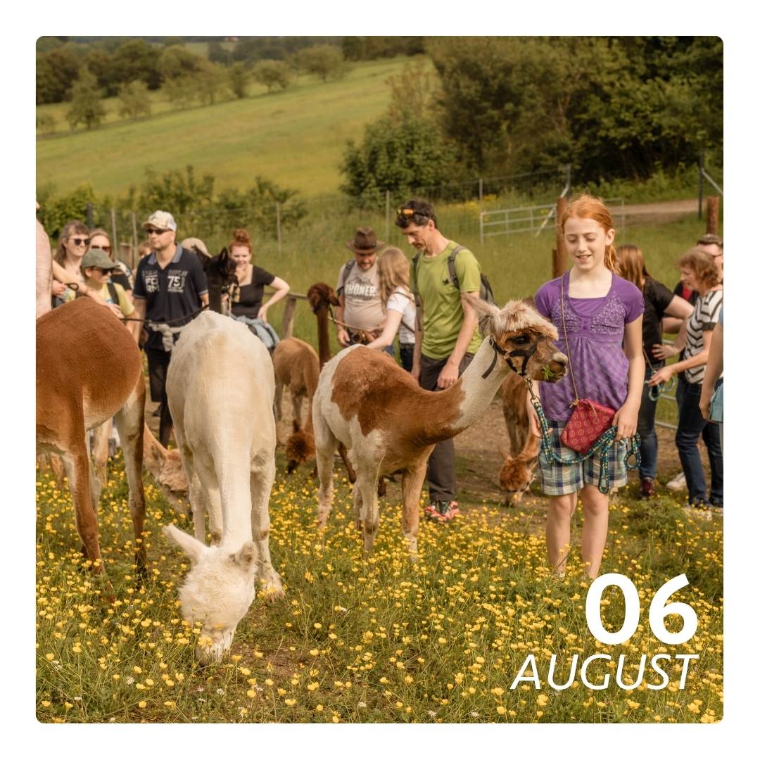 Do. 06.08.26 - ALPAKA FERIENFLAUSCH