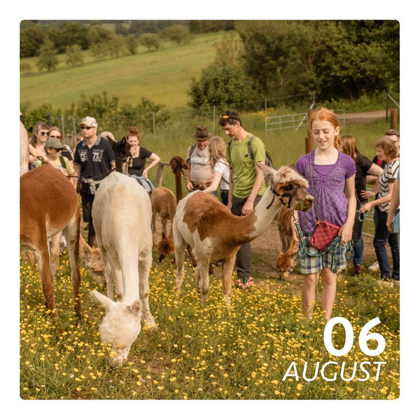 Do. 06.08.26 - ALPAKA FERIENFLAUSCH