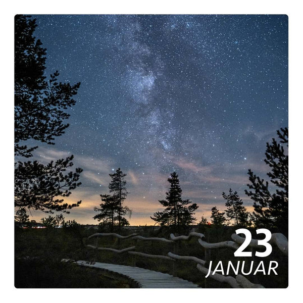 Fr, 23.01.2026 - STERN