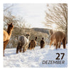 Sa. 27.12.25 - ALPAKA WINTERFLAUSCH