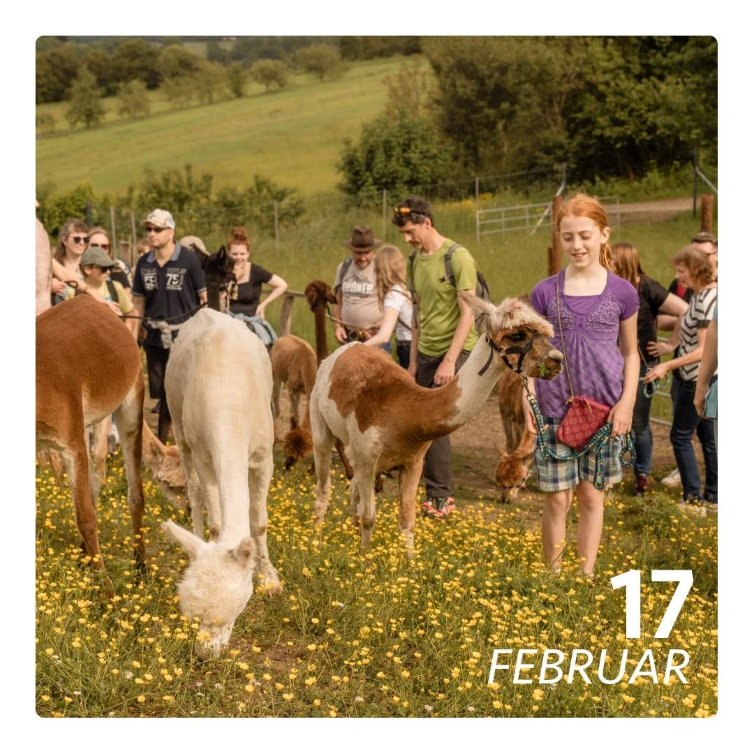 Di. 17.02.26 - ALPAKA FERIENFLAUSCH