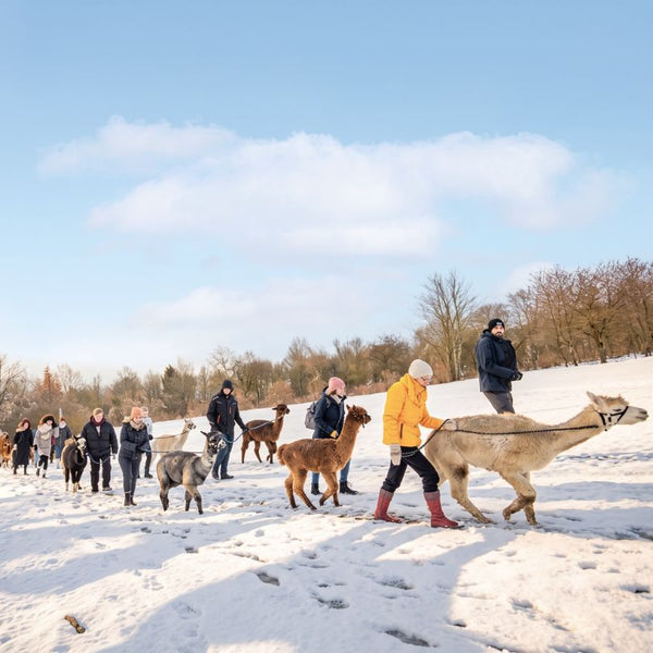 Sa. 19.12.2026 - WINTERGLÜHEN