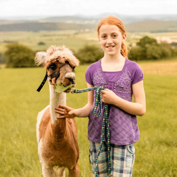 Family Alpakawanderung