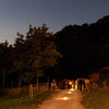 Alpakas, Wein & Sternschnuppen