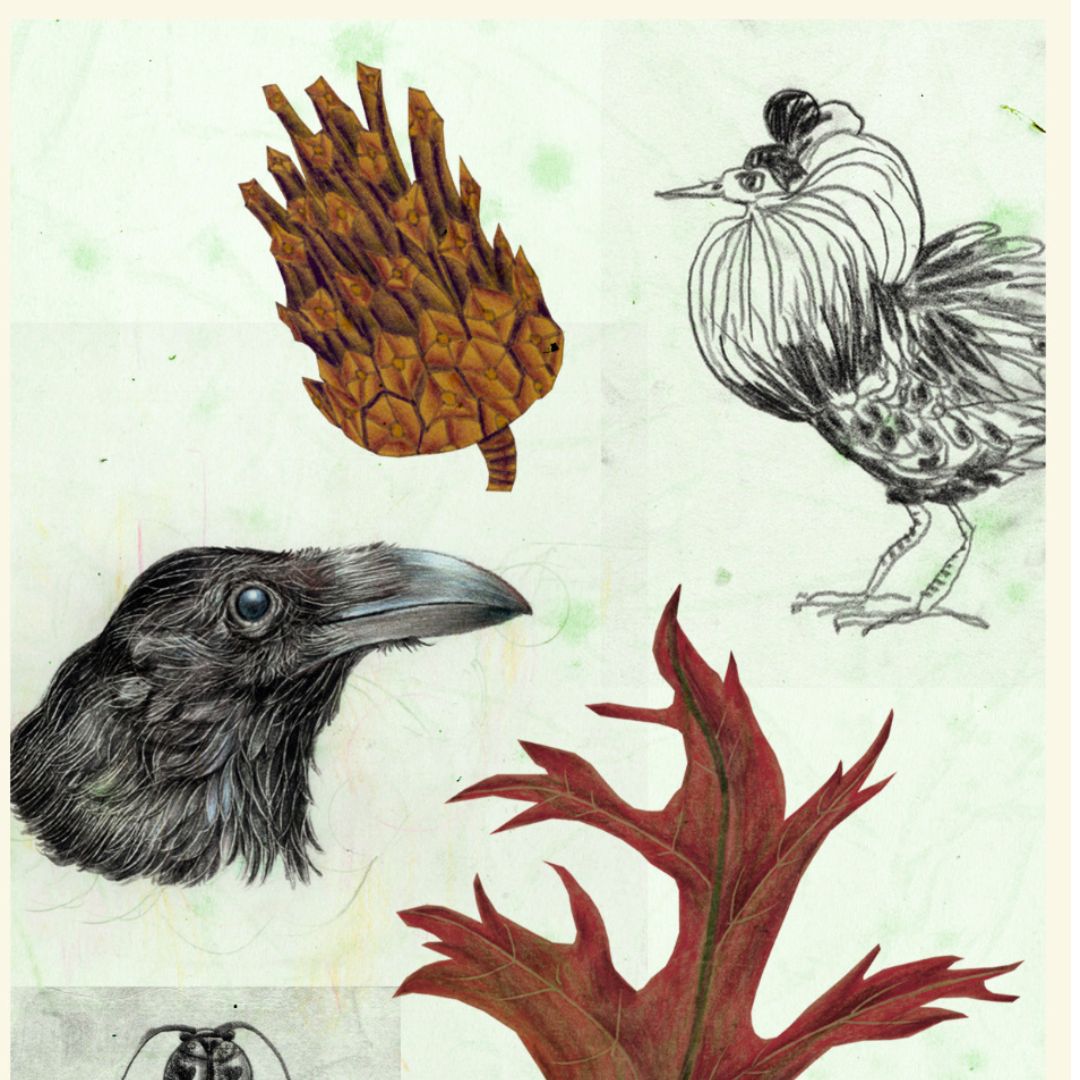 Zeichen Workshop mit Marco Wagner