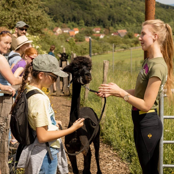 Family Alpakawanderung