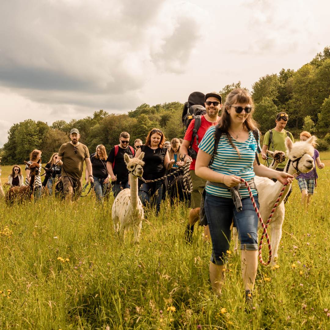 Family Alpakawanderung