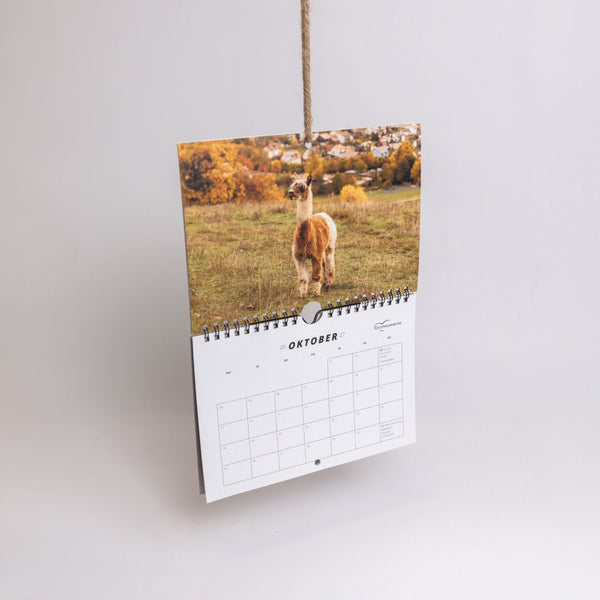 Alpaka Kalender 2027