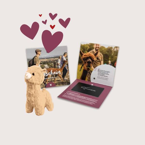 Valentinstag-Bundle