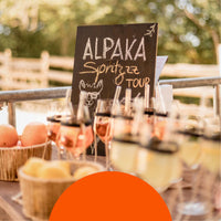 Alpaka<div>Spritz Tour</div>