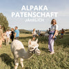 Jährliche Alpaka Patenschaft