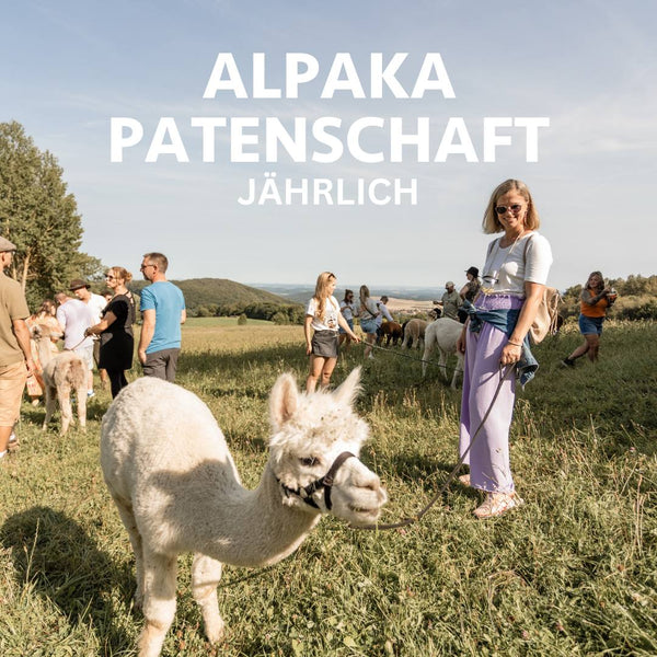 Jährliche Alpaka Patenschaft