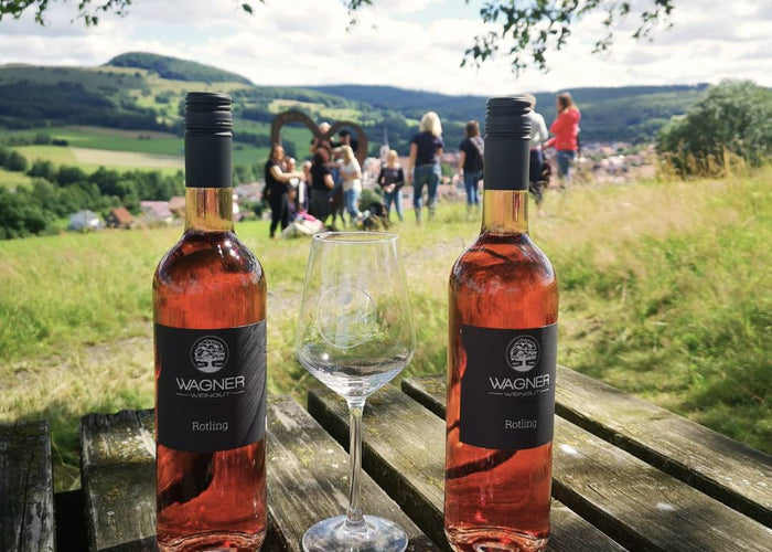 Wein Picknick Tour