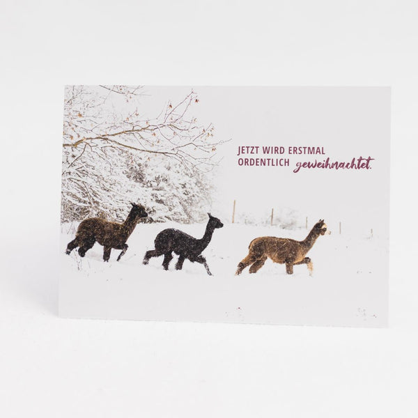Alpaka Postkarte